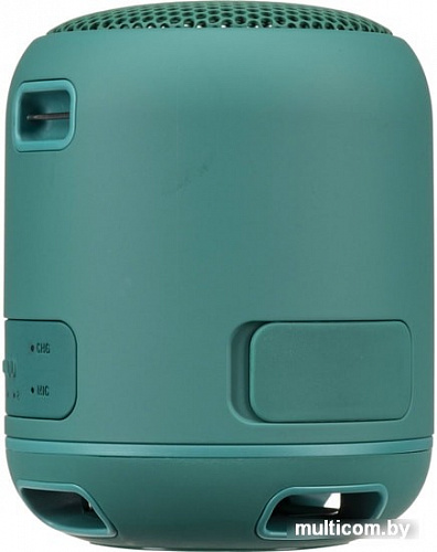 Беспроводная колонка Sony SRS-XB12 (зеленый)