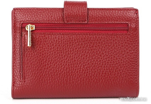 Обложка на документы Fabretti Q09D-51