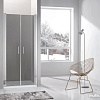 Душевая дверь Adema Nap Duo-80 (тонированное стекло)
