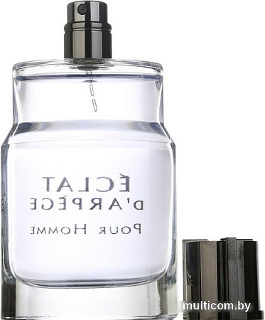 Туалетная вода Lanvin Eclat d'Arpege Pour Homme EdT (100 мл)