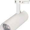 Трековый светильник Arlight LGD-GERA-2TR-R55-10W Day4000 025903(1)