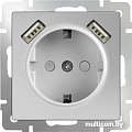 Розетка Werkel WL06-SKGS-USBx2-IP20 (серебряный)