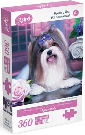 Пазл Origami Game Астрель Красотка 06441 (360 эл)