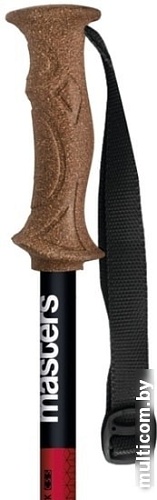 Треккинговые палки Masters Scout Antishock CSS 01S4919