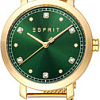 Наручные часы Esprit ES1L402M0035