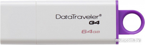 USB Flash Kingston DataTraveler G4 64GB Violet (DTIG4/64GB)