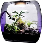 Террариум Lucky Reptile Life Box LB-35P (фиолетовый)