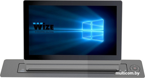 Монитор Wize WR-17GF
