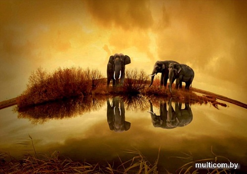 Картина Stamprint Солнечные слоны AM002 (60x85)