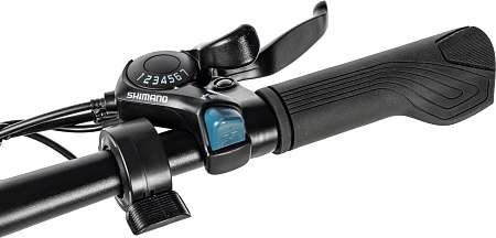 Электровелосипед MyWay Fold 250 20 (15, графитовый)