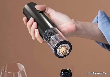 Электроштопор Circle Joy CJ-EKPQ10