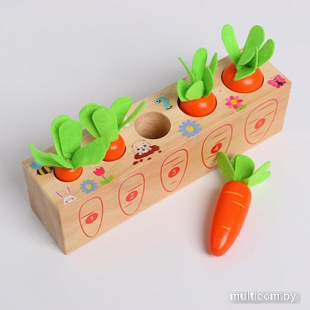 Набор развивающих игрушек Sima-Land Посади разные морковки 5492095