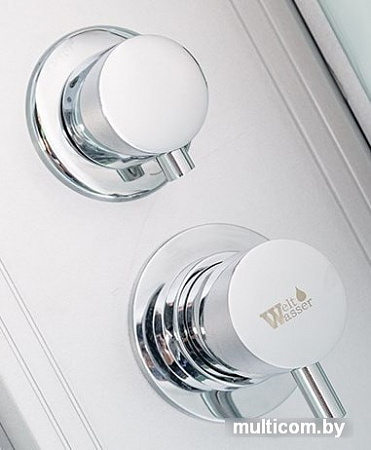 Душевая кабина WeltWasser WW500 Laine 1002