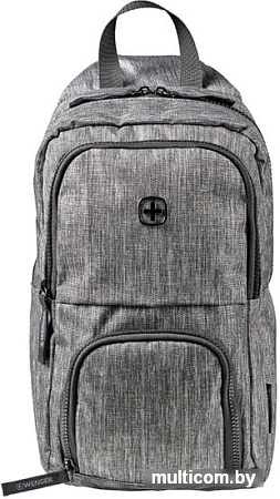 Рюкзак Wenger Console 605029