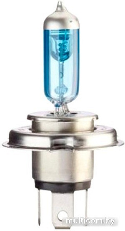 Лампа накаливания Hella 8GJ223498121 1шт
