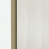 Душевая стенка Maxonor Pure Life PL-SE301AGL-6 (110) (золото матовый)