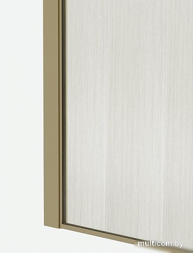 Душевая стенка Maxonor Pure Life PL-SE301AGL-6 (110) (золото матовый)