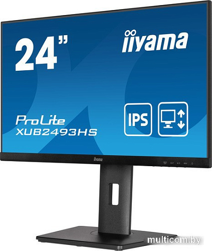 Монитор Iiyama ProLite XUB2493HS-B5