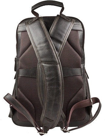 Carlo Gattini Sinfonica Bertario 3102-04 (темно-коричневый)