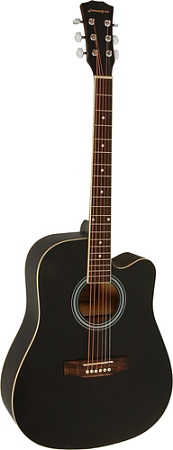 Акустическая гитара Elitaro E4120 BK