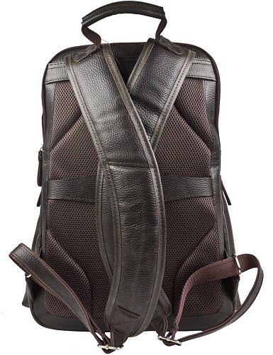 Carlo Gattini Sinfonica Bertario 3102-04 (темно-коричневый)