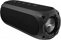Беспроводная колонка Niceboy Raze 3 Radion