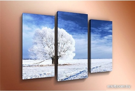 Модульная картина Arthata m-000345 120x80