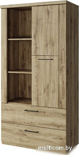 Шкаф распашной Anrex Doorset 1D2S3N (дуб наварра)