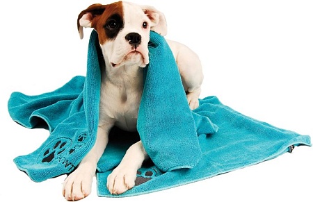 Полотенце Show Tech + Microfibre Towel 33STP002 (бирюзовый)