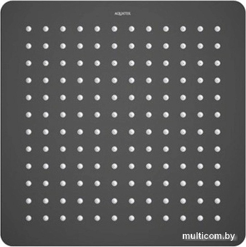 Душевая лейка Aquatek AQ2074MB