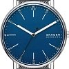 Наручные часы Skagen SKW6904