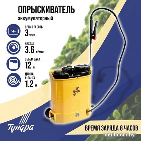 Аккумуляторный опрыскиватель Tundra 9194164