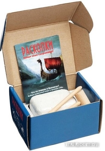 Набор для опытов Раскопки Викинги с монетой DIG-25