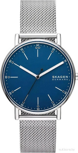 Наручные часы Skagen SKW6904