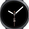 Умные часы Samsung Galaxy Watch8 44 мм LTE (графит)