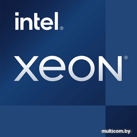 Процессор Intel Xeon E-2356G