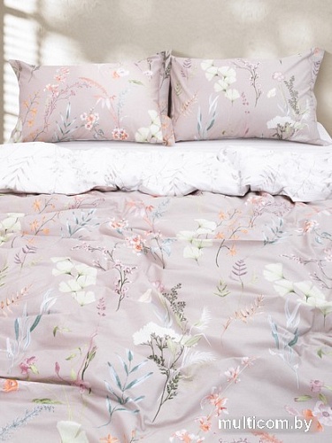 Viva La Vita 71182/1 294016