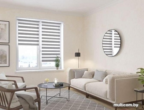 Шторы день-ночь Lm Decor Фьюжн ДН LB 20-06 110x160