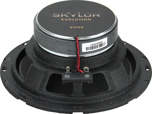 Коаксиальная АС Skylor EVO6
