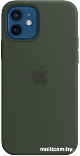 Чехол Apple MagSafe Silicone Case для iPhone 12/12 Pro (кипрский зеленый)