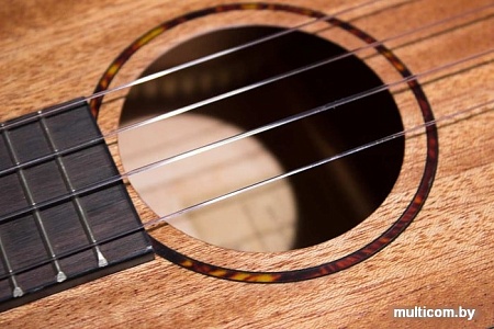 Укулеле Tom TUT-200