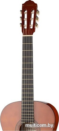 Акустическая гитара Naranda CG120-4/4