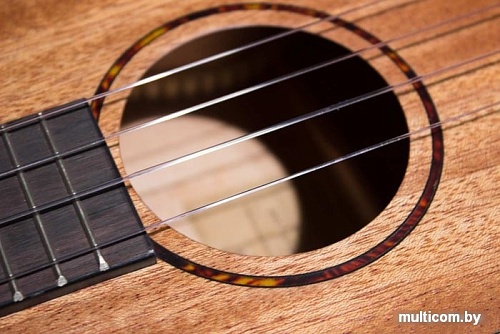 Укулеле Tom TUT-200