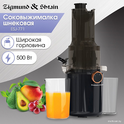 Zigmund & Shtain ESJ-771