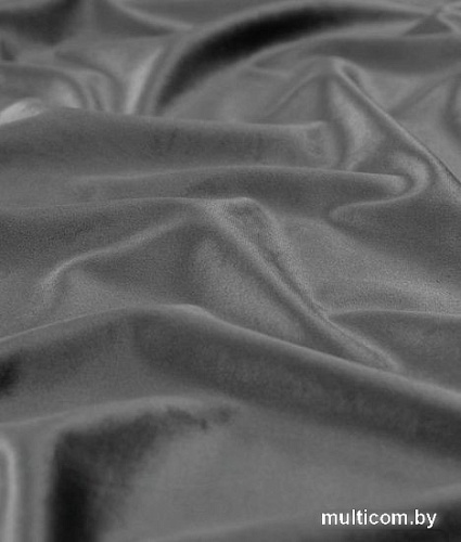 Штора Legrand Велюр 2x2.6 м 58118302 (графит)