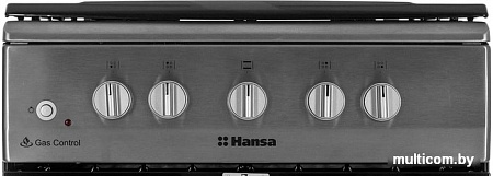 Кухонная плита Hansa FCGX58099