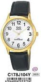 Наручные часы Q&Q C178J104
