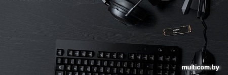 SSD Crucial P5 Plus 500GB CT500P5PSSD8