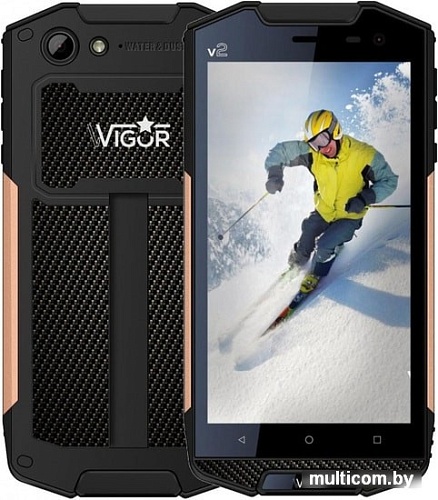 Смартфон Wigor V2 (черный)