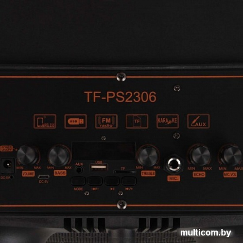 Колонка для вечеринок TELEFUNKEN TF-PS2306